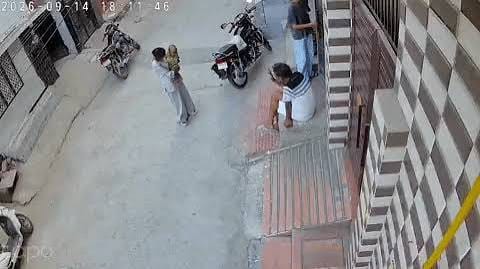 सोनीपत में 6 महीने के मासूम पर पिटबुल का हमला, बचाने आई बुआ भी घायल; रोहतक PGI में इलाज जारी 1 images 4 15