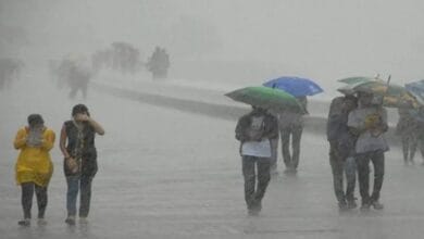 Weather Today 15 September: दिल्ली समेत कई राज्यों में बारिश का अलर्ट, 60 KM की रफ्तार से चलेंगी हवाएं 3 images 6 14