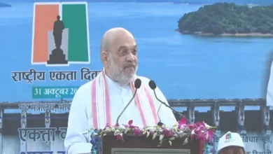 सरदार पटेल की 151वीं जयंती पर अमित शाह का बड़ा ऐलान, 31 दिसंबर 2029 तक भारत को नशामुक्त बनाने का लक्ष्य 2 179341625691
