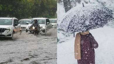 weather update 1790475310